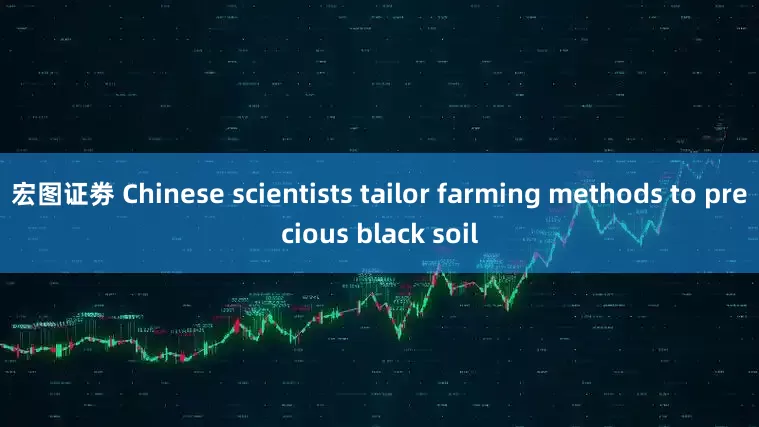 宏图证劵 Chinese scientists tailor farming methods to precious black soil